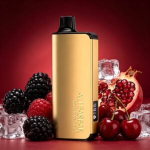 ALIBARBAR INGOT 9000 Puffs - Blackberry Pomegranate Cherry