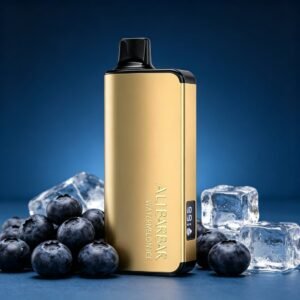 ALIBARBAR INGOT 9000 Puffs - Blueberry Blast