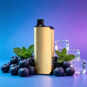 ALIBARBAR INGOT 9000 Puffs - Blueberry Mint