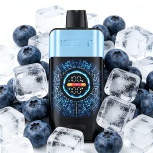 IGET ONE 12000 Puffs - Blueberry Ice